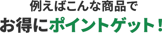 例えばこんな商品でお得にポイントゲット！